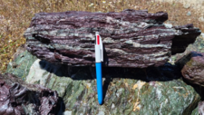 Radiolarites