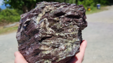 Radiolarites