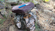 Radiolarites