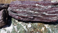Radiolarites