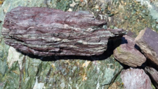 Radiolarites