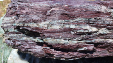 Radiolarites