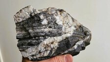 Gneiss Migmatitique