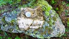 Gneiss Migmatitique