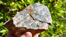 Gneiss Migmatitique