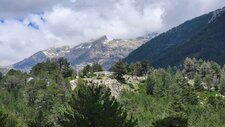 Méladiorite