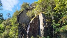 Méladiorite