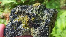 Méladiorite