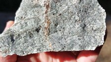 Granodiorites à Amphiboles & Biotites