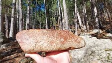 Granodiorites à Amphiboles & Biotites