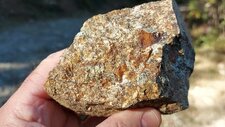 Granodiorites à Amphiboles & Biotites