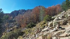 Granodiorites à Amphiboles & Biotites