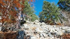 Granodiorites à Amphiboles & Biotites