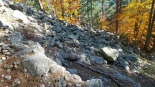 Granodiorites à Amphiboles & Biotites