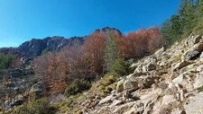Granodiorites à Amphiboles & Biotites