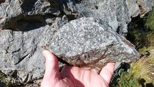 Granodiorites à Amphiboles & Biotites
