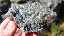 Granodiorites à Amphiboles & Biotites