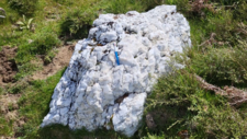 Quartz laiteux