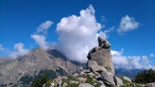 Enclaves basiques sur granit 