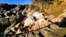 Pegmatites