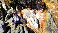 Pegmatites