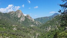 Granite monzonitique leucocrate à grenats