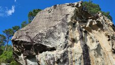 Granite monzonitique leucocrate à grenats