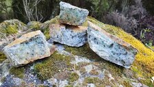 Granite monzonitique leucocrate à grenats
