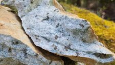 Granite monzonitique leucocrate à grenats