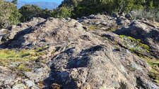 Granite Perthitique Hastingsite-Fayalite