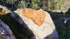 Granite Perthitique Hastingsite-Fayalite