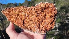 Granite Perthitique Hastingsite-Fayalite