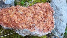 Granite Perthitique Hastingsite-Fayalite
