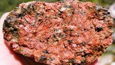 Granodiorite Alcaline