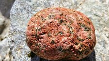 Granodiorite Alcaline