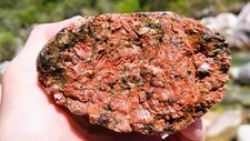 Granodiorite Alcaline