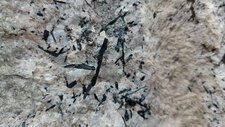 Granite à Riebeckite 