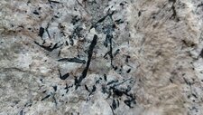 Corse - Evisa - Aïtone - Granite à Riebeckite 