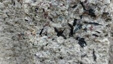 Granite à Riebeckite 