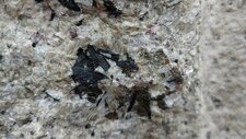Corse - Evisa - Aïtone - Granite à Riebeckite 