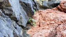 Granite rouge de Porto
