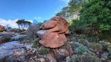 Monzogranite
