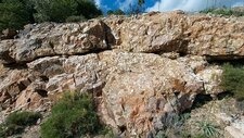 Pegmatites décimétriques à Riebeckites-Fayalites