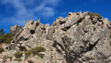 Filons acides Rhyolites