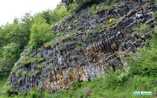 Coulées basaltiques de la vallée de l