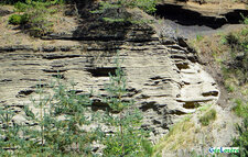 Carrière du Tartaret