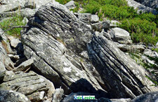 Phonolite du Meygal