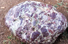 Rhyolites Ignimbritiques