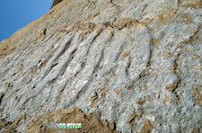 Ripple marks