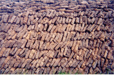 Briquettes de tourbe